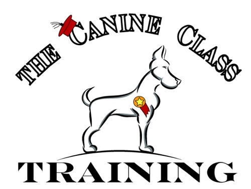 We are the premiere dog training company. If you want to be happy with you dog, contact us.
