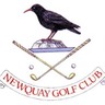 NewquayGC's profile picture. 