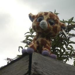 Jericho G'Raffe