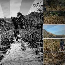 Experience the Wilderness of the Philippines!  Follow us!