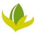 Green Inspiration (@greeninspirated) Twitter profile photo