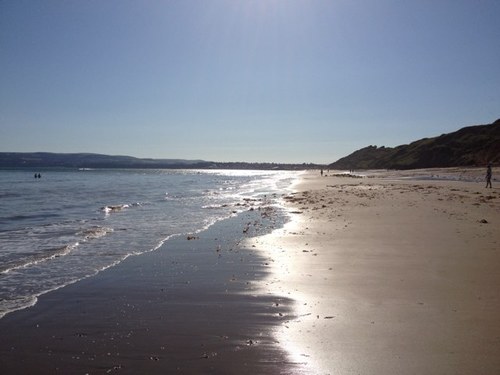 Alanmarriage's profile picture. 