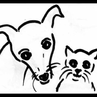 Organic Pets is een verkooppunt van #Darf in #Alkmaar en  #Haarlem / Eko vlees voor hond en kat /