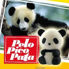 Recopilación de vídeos online del programa Pelo Pico Pata.