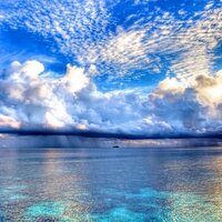 Jayson O'Reilly (@jaysonoreilly) 's Twitter Profile