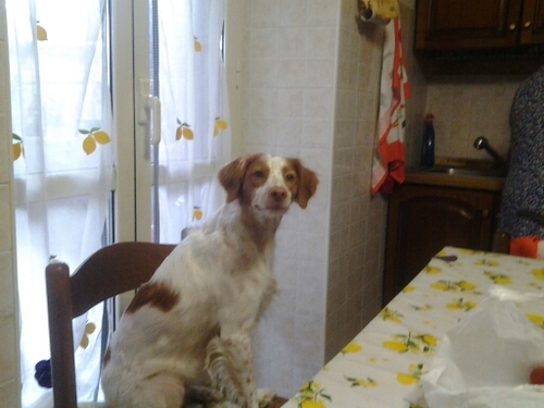 jurichiodi's profile picture. 