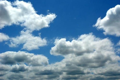 Skyweb3Skyweb's profile picture. skyweb a lebaneese web development company, provides web programming solutions to local and global clients.