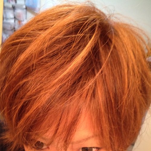 Sachiさんのプロフィール画像