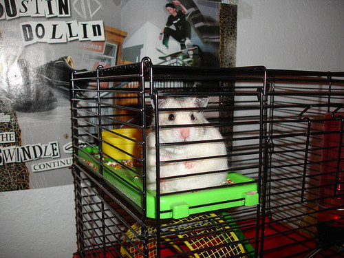 alicemyers88's profile picture. I may be no hero but I ain't a killer.friend  of the autobots so decepticons you better watch out-smirks-Taken by LstzfighterGoku x3 luv u handsome