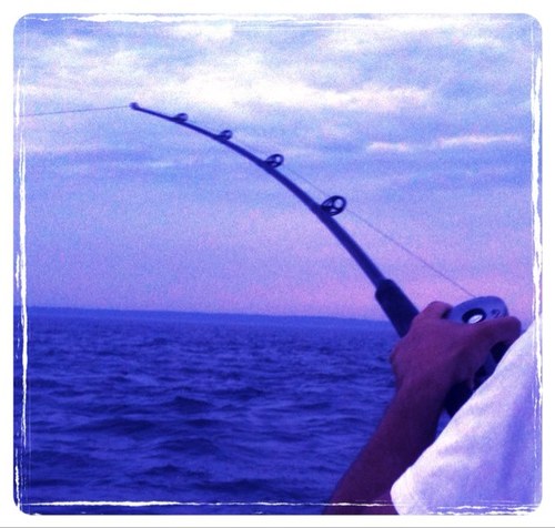 Fishing on the Cape #fishingonthecape https://t.co/SjLopioupJ