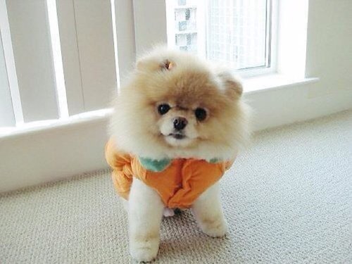 Lindaharris84's profile picture. 