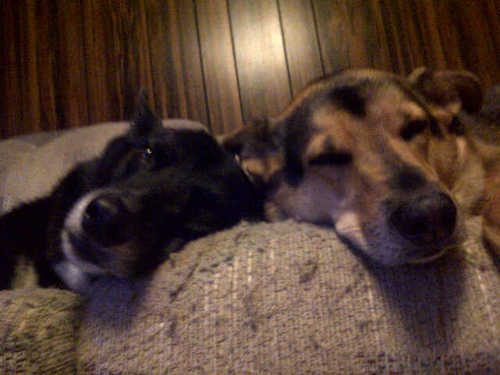 JessCud's profile picture. 