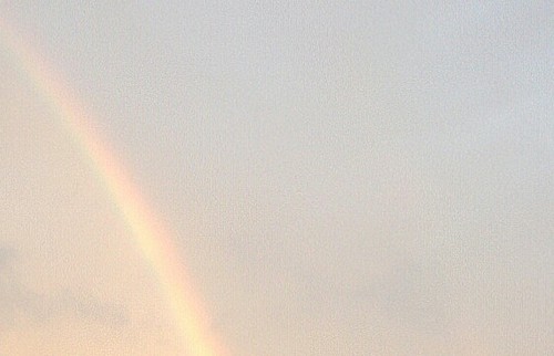 Bot_Sora_'s profile picture. 