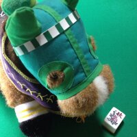 さえるぼ (@saelbo879) 's Twitter Profile Photo