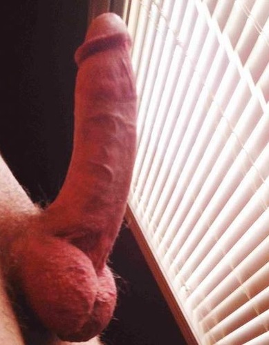 Big dick real pic