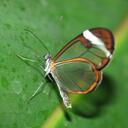 Daisy Pham - @crystal_daisy - Twitter