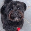 Tom Roach - @TomRoach6 - Twitter