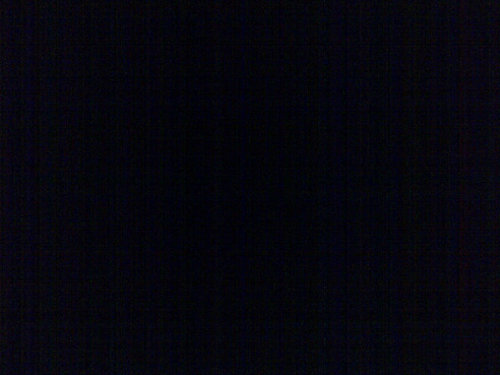 sexO_oxes's profile picture. 