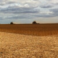 Paul Kaminsky (@kaminskypaul) 's Twitter Profile