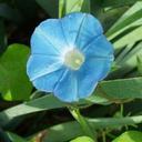 Karen Mize - @Karen_Mize - Twitter