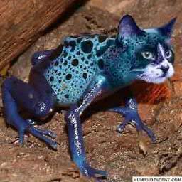 edwronsky's profile picture. Взаимный фоловинг #follow #followback.Эдуард Вронский. Люблю хорошую рекламу, сиськи и котиков. http://t.co/OtihR1qDEv