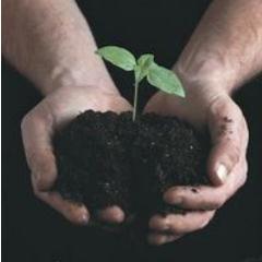 OmegaSeeds's profile picture. Participant in the You Innovate Canada Tournament.
Follow us, we follow back! Vote for us! #YouInnovateCanada