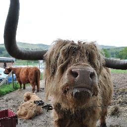 mac_candy1's profile picture. is me. 'nuff said.