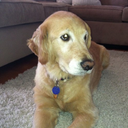 LarkFrerix's profile picture. 