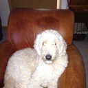 Jake Schulz - @jschulzmn1 - Twitter