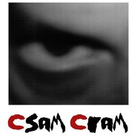 csam cram(@csamcram) 's Twitter Profile Photo