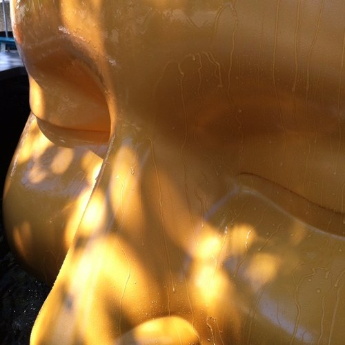 buildprocess's profile picture. 