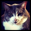 Rusty Brookwood - @RustyBrookWood - Twitter