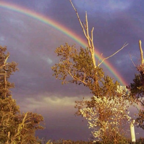 deantropoloog's profile picture. bottom up denker