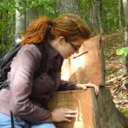 Woodworking Blogger, working in aerospace and on my way to starting a woodworking business.