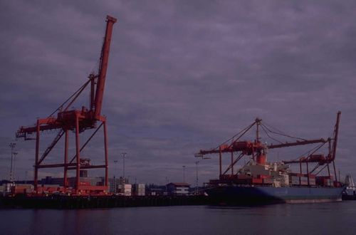 paulerson's profile picture. I'm not being the best, but I'am doing my best.