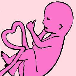 Birth and postpartum doula and CLC. Offering services to NY's Capital Region.