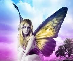 SolVolpe's profile picture. quien camina cuando se puede volar?