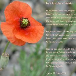 'Their Name Liveth For Evermore'. The Western Front of WWI.  VC holders of various conflicts. A Lady interested in military history.