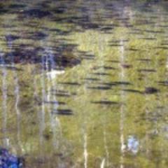 badmoon51's profile picture. 