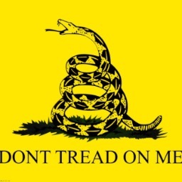 RING4LIB's profile picture. 