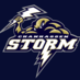StormArts&Activities (@stormactivities) Twitter profile photo StormArts&Activities (@stormactivities) Twitter profile photo