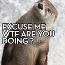 Marcus weiner - @Mattolander123 - Twitter