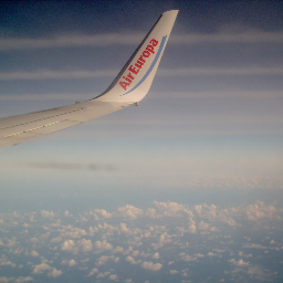 MIGUELTEJOTA's profile picture. 