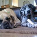 Kyle Eichman - @keichman - Twitter