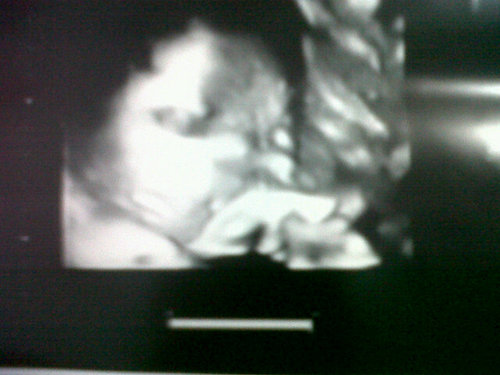 andreaita93's profile picture. 