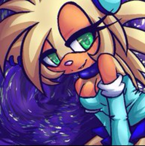 A 18 year old hedgehog loves emeralds. Use to work for G.U.N Master theif and spy. Controls Fire and Shadows, top master boxer and wrestler.