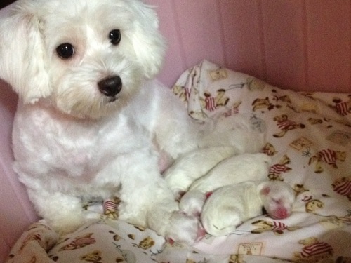 obrkr's profile picture. 맞팔100% 많은 이야기 전하고 듣고 싶어요~인터넷을 편하게~