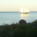 Tammy Wallman - @TamWall1313 - Twitter