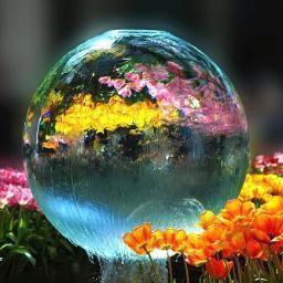 samannody's profile picture. raghebalsaied@yahoo.com