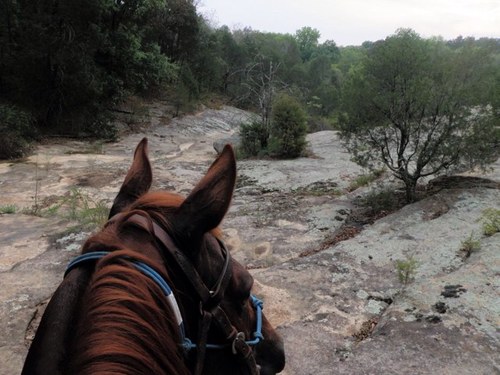 JWZeliff's profile picture. 